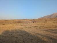 img8