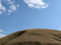img25